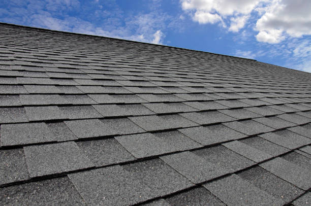 Best Skylight Installation and Repair  in Laurel Bay, SC